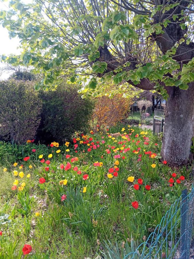 Rosalie Cottage Beaurepaire  Eksteriør bilde