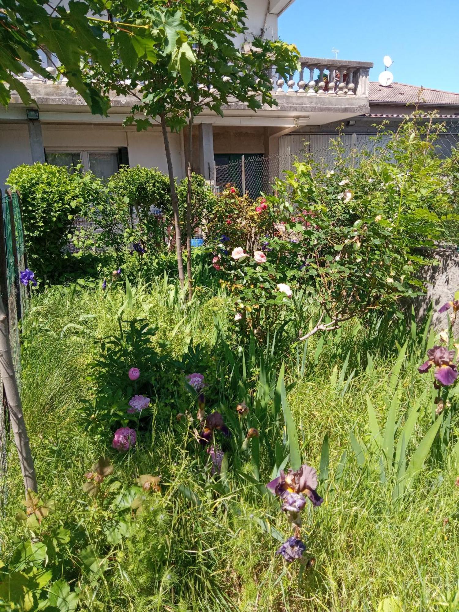 Rosalie Cottage Beaurepaire  Eksteriør bilde