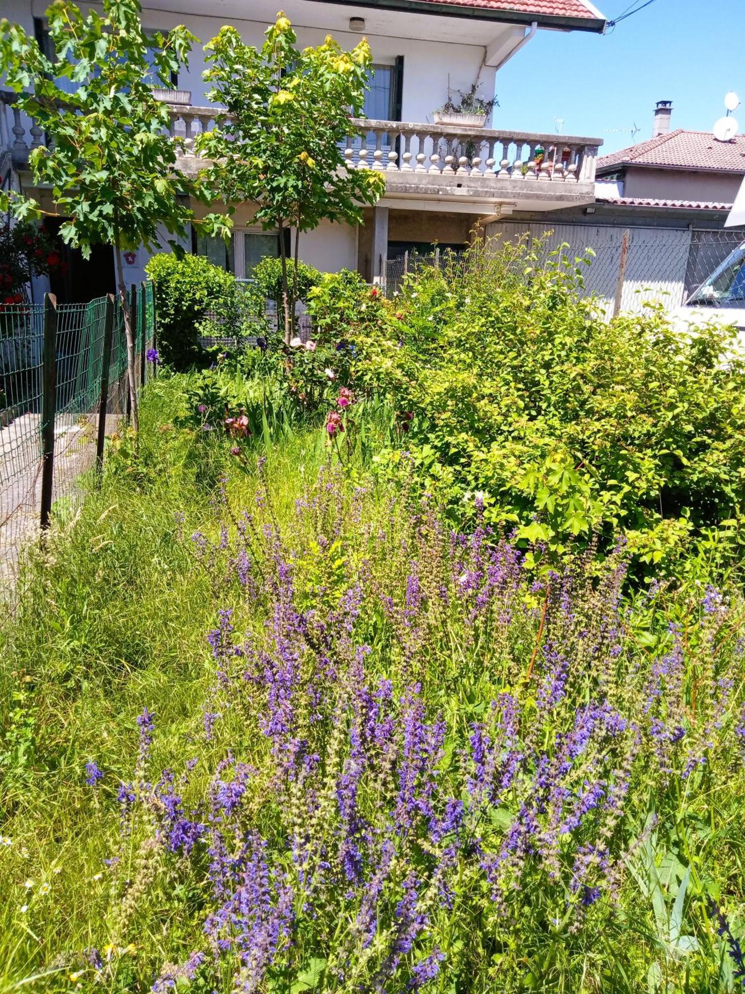 Rosalie Cottage Beaurepaire  Eksteriør bilde